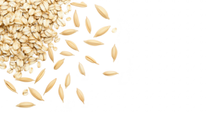 A close-up view of raw oats scattered on a clean white surface. the natural textures and colors of the grains. ideal for health-related content or culinary uses