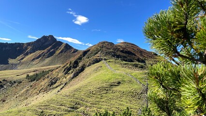 Wanderung Tirol Fieberbrunn Wildsee