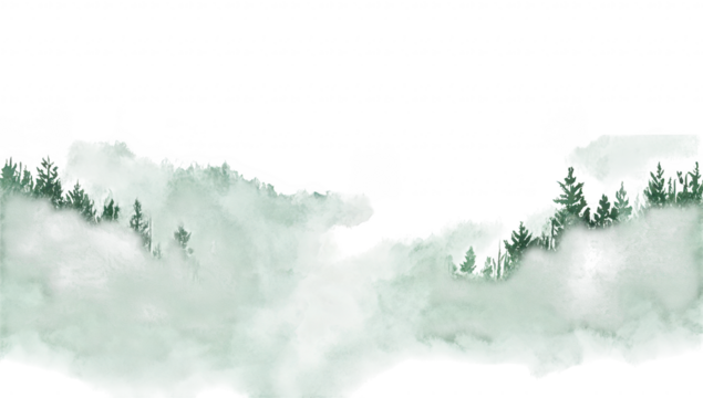 Serene misty forest landscape with dense green trees and fog rolling through the valley. creating a tranquil atmosphere perfect for nature-themed projects and backgrounds