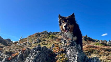 Wanderung Tirol Fieberbrunn Wildsee