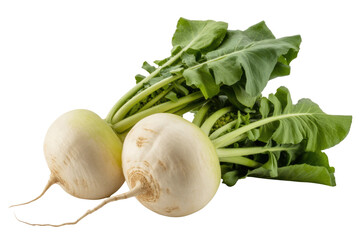 Two fresh white turnips with vibrant green tops, isolated on a background. background removed