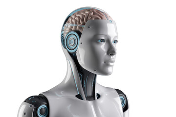 A female robot's head is shown with a visible brain, showcasing advanced AI. background removed