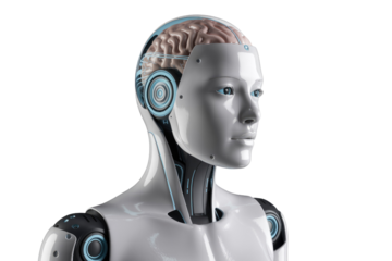 A female robot's head is shown with a visible brain, showcasing advanced AI. background removed