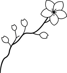 vector floral background line art on transparent background