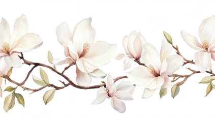 A serene composition of delicate magnolia flowers in soft pink and white hues. gracefully arranged along a slender branch. set against a clean white background. ideal for floral-themed designs