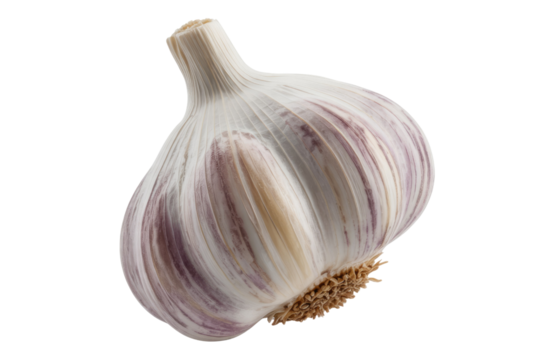 A single bulb of garlic, isolated on a transparent background, showcasing its detailed texture and purplish hues. background removed