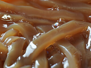 Tokyo,Japan - September 22, 2025: Ika no Shiokara. Squid or cuttelfish marinated in salt and squid's soft guts.
