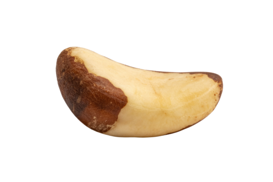 Close-up of a single Brazil nut, isolated on a transparent background. background removed