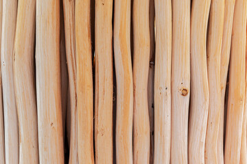 Many small stump tree pattern background
