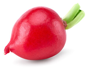 fresh radish isolated on white background. clipping path