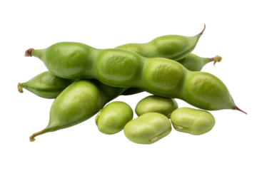 Fresh green broad beans in their pods, isolated on a transparent background. background removed