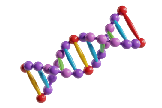 A colorful 3D model of a DNA double helix, illustrating the structure of genetic material. background removed - Powered by Adobe