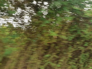 Scenic view of nature along a rural road after a rainy day