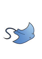 STINGRAY ILLUSTRATIONS