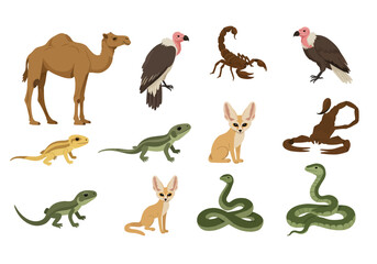 A collection of desert animals including snakes vultures camels lizards scorpions and fennec foxes