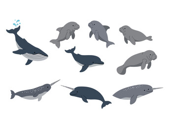 A collection of diverse marine mammals including whales dolphins manatees and narwhals