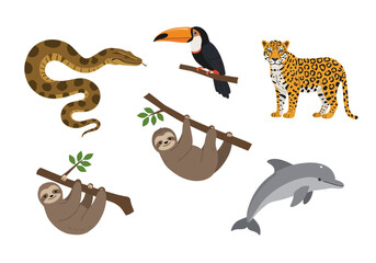 Animals include a snake toucan jaguar two sloths and dolphin against a white background