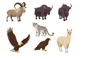 Animals depicted Ibex yak snow leopard golden eagle bald eagle and llama