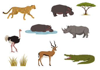 African fauna cheetah hippos rhino ostrich gazelle crocodile  acacia tree