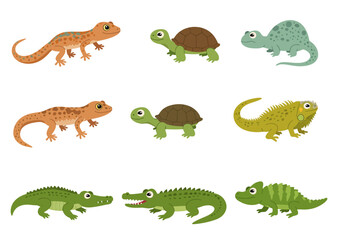 Cartoonish reptiles gecko turtle iguana  crocodile illustrations against a white background