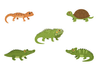 Cartoon reptiles gecko turtle iguana  crocodiles on white
