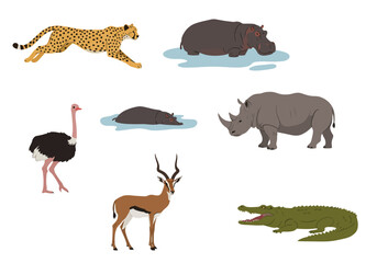 Collection of African animals cheetah hippos rhino ostrich gazelle and crocodile