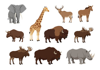 Collection of 10 diverse wild animals including an elephant giraffe and rhino