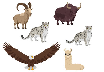 Collection of wildlife goat yak eagle llama and two snow leopards isolated on a white background