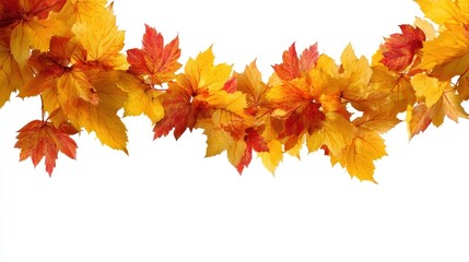 photo of realistic *autumn leaves border* isolated on white background --ar 16:9 --v 7.0