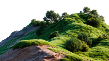 Rolling Hill's verdant embrace: A picturesque view of rolling hills, their slopes adorned with verdant grasses and clusters of trees. An idyllic natural scene of serenity and ecological vitality. 