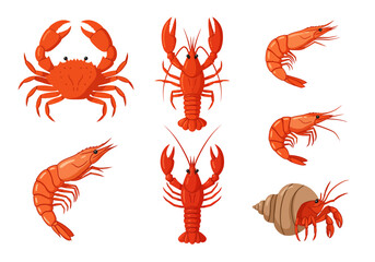 Seafood collection crab crawfish shrimp  hermit crab in a shell