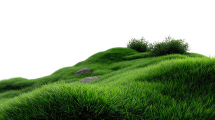 Green Hilltop Vista: A vibrant green hilltop showcases lush grass and two small shrub, inviting a sense of serenity and natural beauty in a detailed scene. 