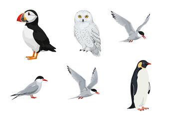 Naklejka premium Six various bird species are displayed on a white background