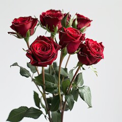 A bouquet of six deep red roses with green stems and leaves, set against a plain white background, showcasing their rich color and elegant form
