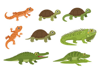 Variety of reptiles including lizards turtles an iguana and crocodiles in a vector illustration