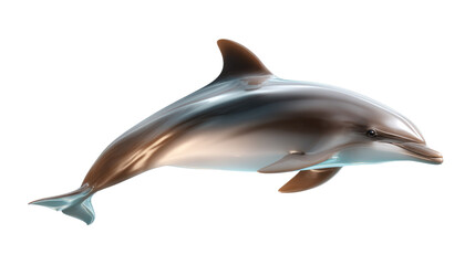 Dolphin&rsquo;s graceful form: A vibrant marine mammal, gracefully positioned against a backdrop of light, epitomizes elegance and power in the aquatic realm.