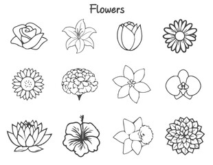 Flowers.eps