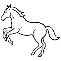 horse vector illustration