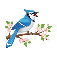 A handsome blue jay with its feathers ruffled slightly, perched on a branch with a few red berries, looking ahead