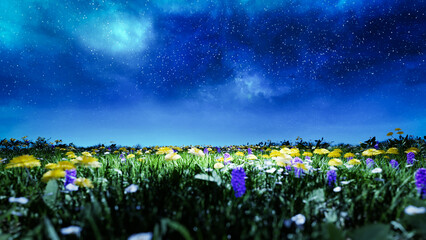 Colorful wildflowers blooming in a fairytale meadow under a night sky filled