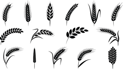 Various black wheat and grain silhouette illustrations on white editable vector file