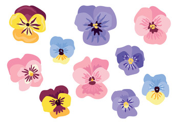 Illustration of Colorful Pansy Flowers on White Background