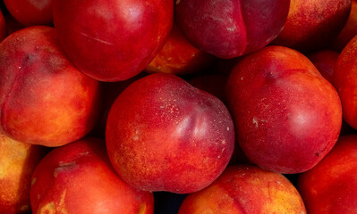 Fresh ripe nectarines with vibrant red and yellow skin in a close up view