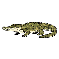 Fototapeta premium Alligator illustration, flat design, natural colors, isolated on white background