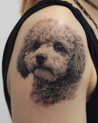 Black-and-gray shoulder tattoo of Poodle head, dense curls rendered with fine stippling, representing elegance and devoted companionship