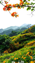 A vibrant landscape of blossoming flowers and hills.  Orange blossoms hang from a branch above a field of yellow flowers.  Green hills rise in the background