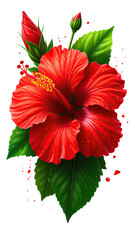 Vibrant red hibiscus flower, lush green leaves, and delicate buds
