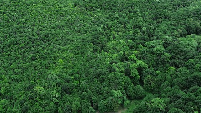 Drone view of the Sretenje Monastery surrounded by dense green forests in the Serbian mountains, showing traditional Orthodox architecture. Horizontal 4k footage