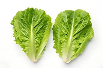 Two fresh romaine lettuce leaves with crisp green foliage and central ribs side by side on white background