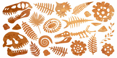 Collection of dinosaur skeletons and fossils in warm earthy tones on a white background